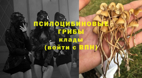сатива Протвино