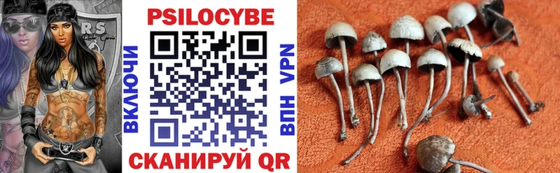 закладки Зарайск Псилоцибиновые грибы прущие грибы